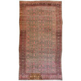 Khotan One-of-a-Kind 7' X 14'9" Area Rug