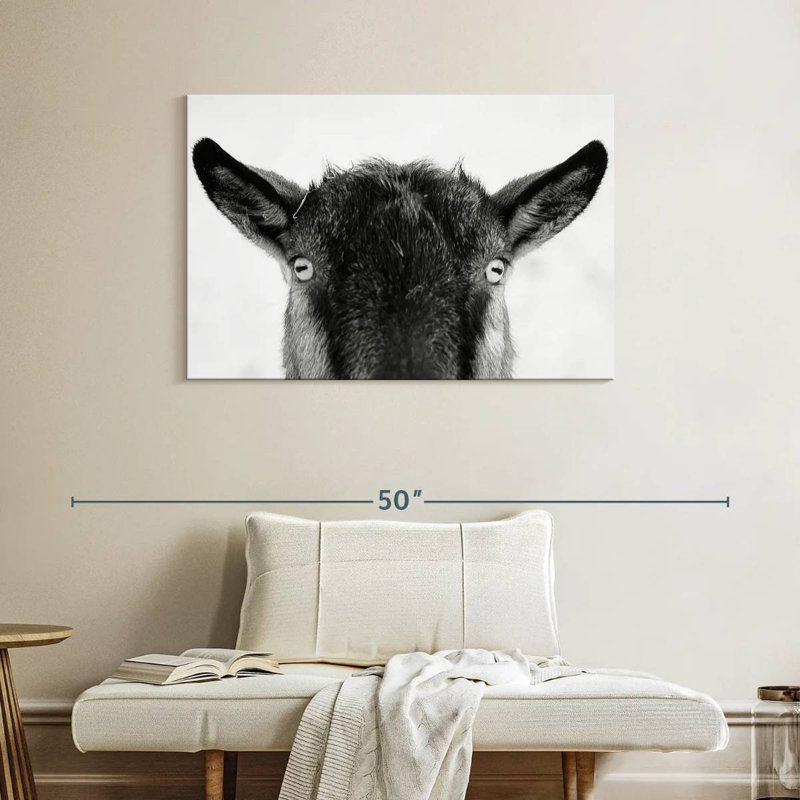 Peeking Black Goat, 26" H x 39" W