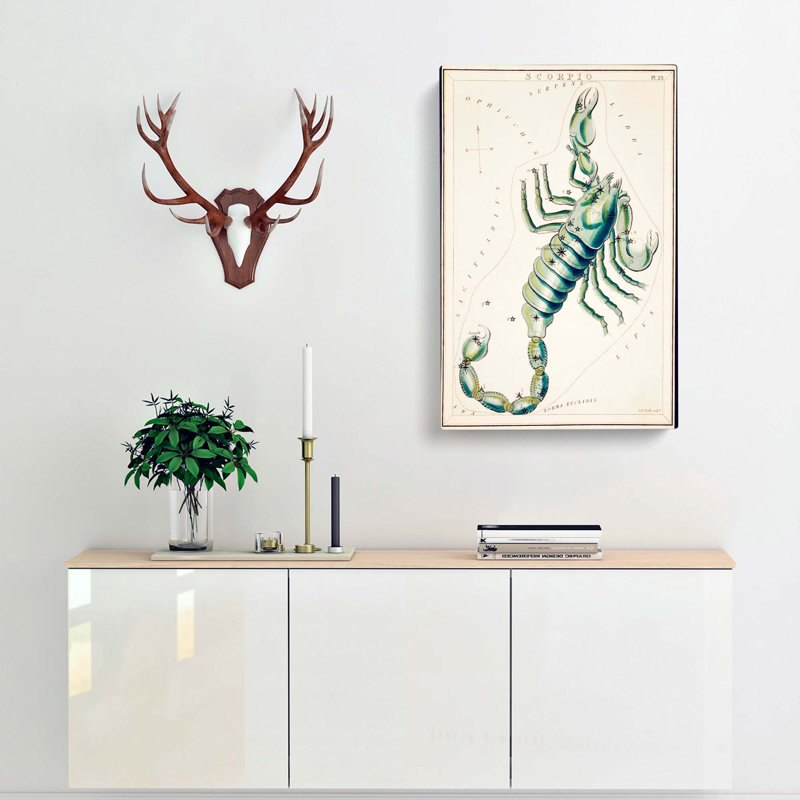 Astronomical Zodiac Chart Of The Scorpio - Wrapped Canvas Print, 50cm H x 35cm W x 3cm D