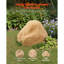 No Subject Garden Stone