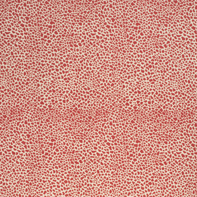 Safari Cotton Fabric