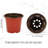 Adwait Handmade Pot Planter