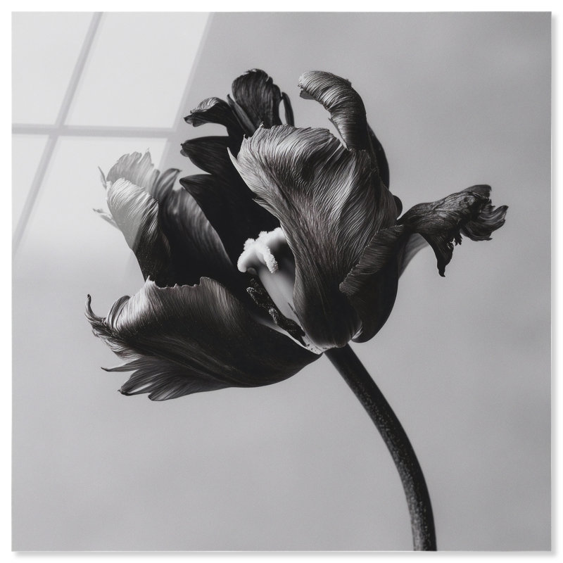 Tidal Wilt I Print by Oliver Gal, 12"H x 12"W, High-Gloss Acrylic Print