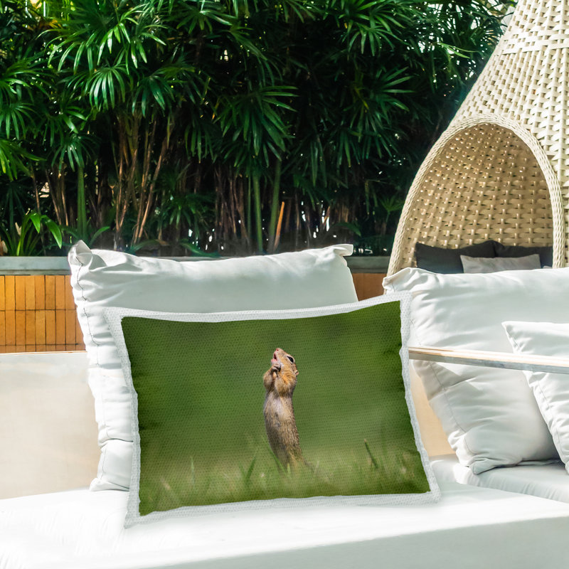 Outdoor Throw Pillow