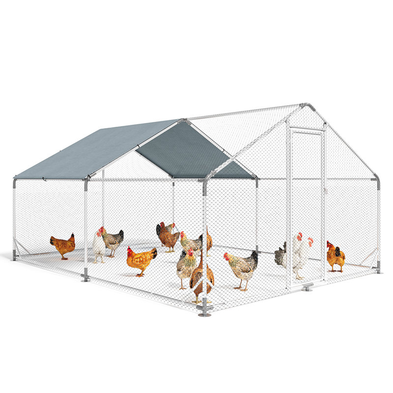 Chicken Coop For Up To 48 Chickens, 194.1cm H x 400.1cm W x 300.2cm D