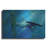 " Hammerhead " by Daniel Eskridge-1684530907