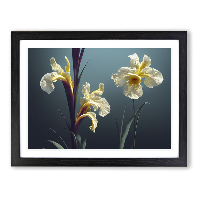 Thrilling Iris Flowers 1 Piece Single Picture Frame Wall Art, 34cm H x 46cm W x 2cm D, Black Framed