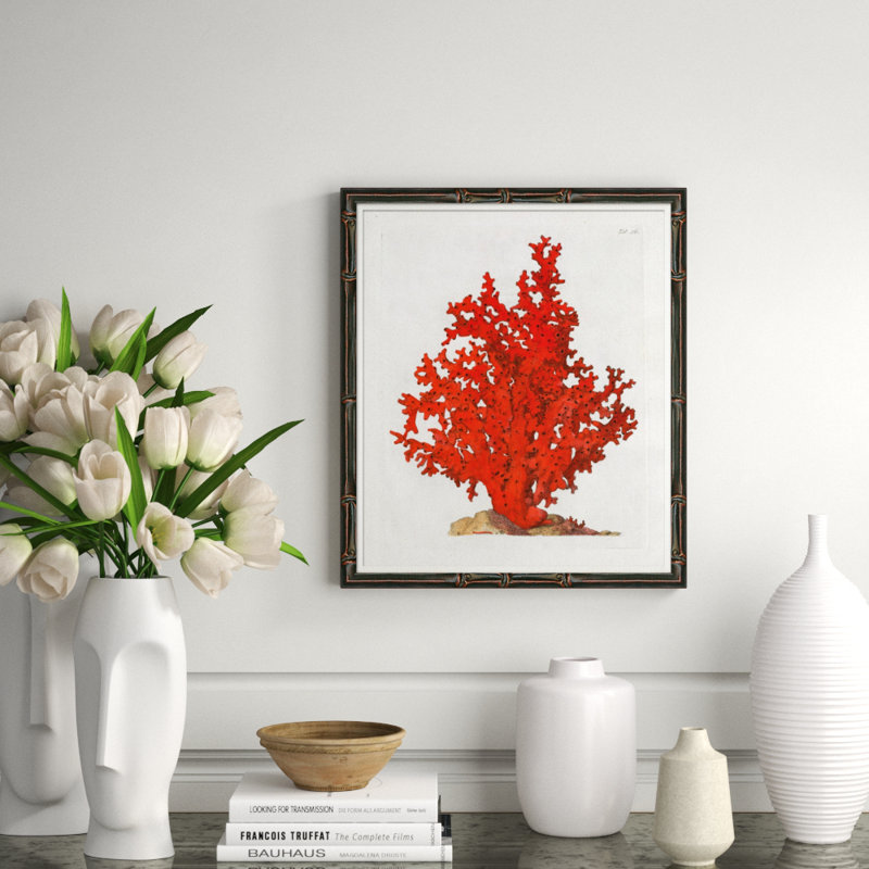 Red Coral Illustration II Giclee Print by Soicher Marin Archives