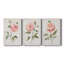 Grandiflora I - Ensemble de 3 reproductions d'art sur toile tendue-950456072
