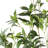 Faux Japonica Plant in Cement Planter-1140053593