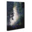 Forest Light - Wrapped Canvas-55363980