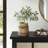 Eralia Cement Pot Planter-361195181