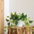 Faux Foliage Plant in Ceramic Pot-450843450-462439896