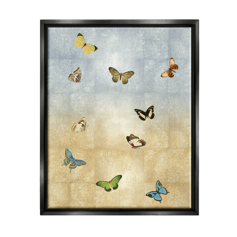 «Divers Butterfly Insect Motif» par Tina Blakely - peinture à cadre flottant sur toile, Cadre flottant noir de jais