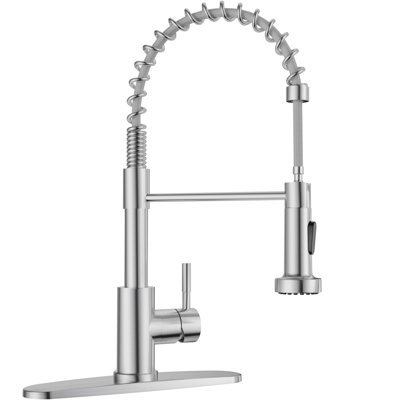 APPASO Pull Down Kitchen Faucet