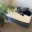 Photos des clients 1 de 1