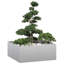 Planter Box-2072170343