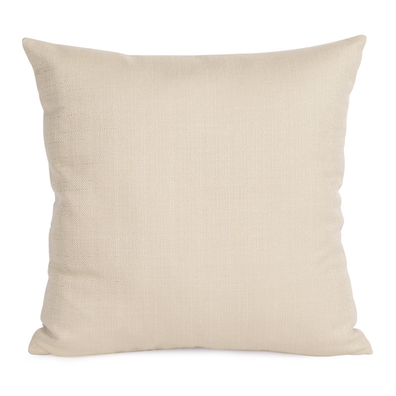 Housse de coussin Randal, Gris, H 20 po x l 20 po x P 4 po, Down Blend