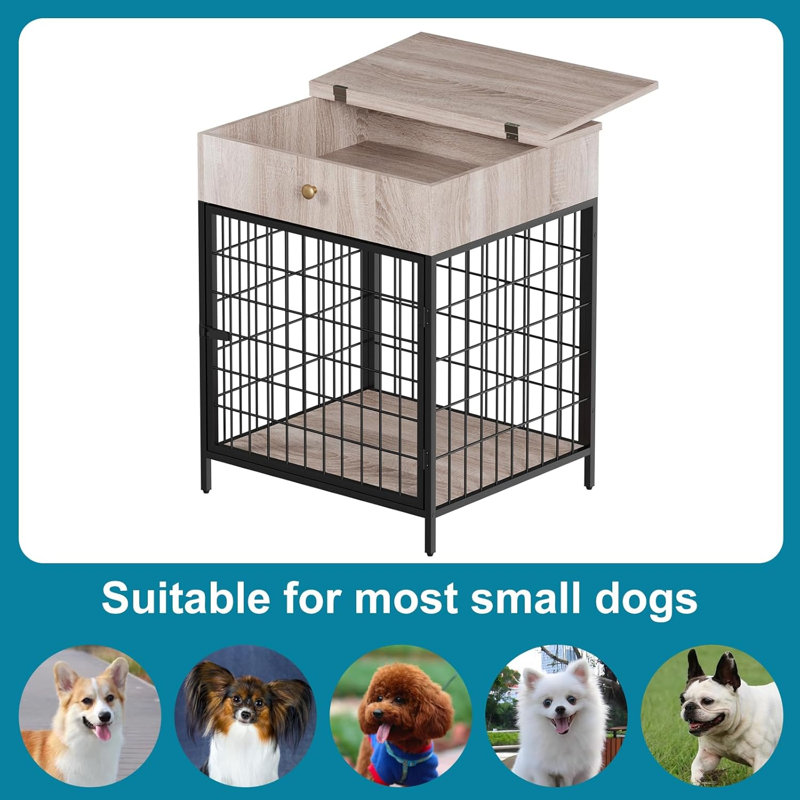 Dog House