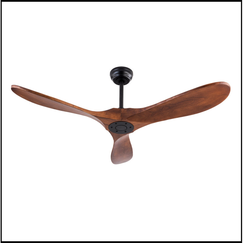 Conkle with 3 Blades and Remote Control
