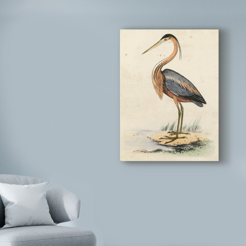 «Antique Heron II» par World Art Group, reproduction d'art graphique sur toile, H 32 po x l 24 po x P 2 po