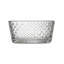 Tundra Bowl Clear-621975220