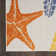 Goshen Indoor / Outdoor Rug