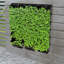 Jardinière murale 18 pots à arrosage automatique-1750697213