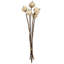 Set Of 12, 23.5"   5Pcs/Bunch Pumpkin Pod Twig Stem