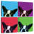 Brampt Loyalty Pop-109121346