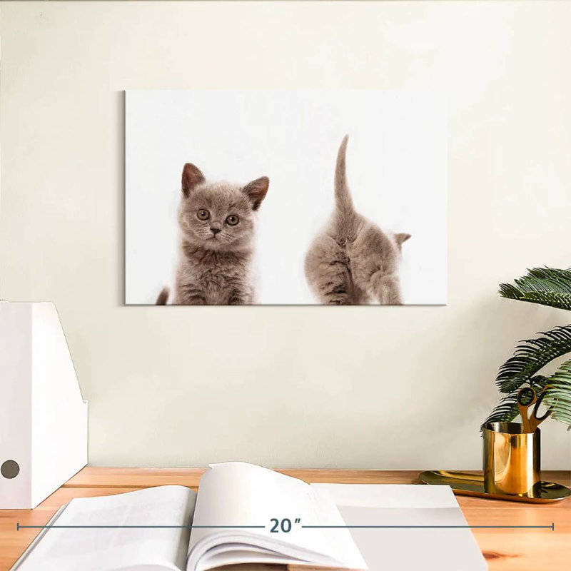 «Crowle Kitten» devant et derrière, H 8 po x l 12 po