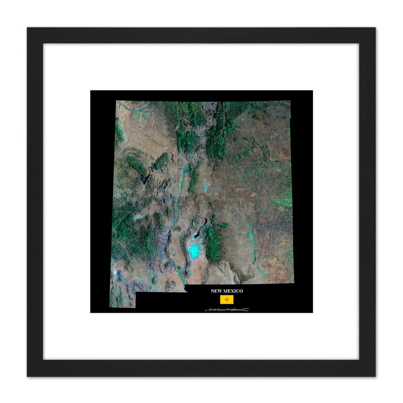 Map County Satellite USA State Flag New Mexico - Single Picture Frame Painting