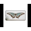 Polyester Desk Pad-1417629023