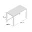 Zara Writing Desk