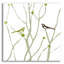  «Little Bird» par Erin Clark, art mural en verre acrylique, 24 po x 24 po-1929293021