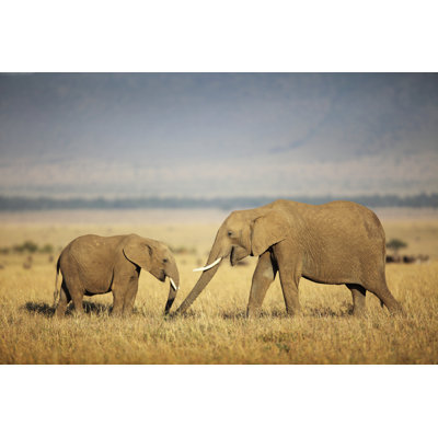 Mother And Baby Elephant In The Field by GP232 - Wrapped Canvas Print