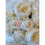 Grandes tiges de rose REAL TOUCH - roses anglaises crème / ivoire dorées pour la décoration intérieure