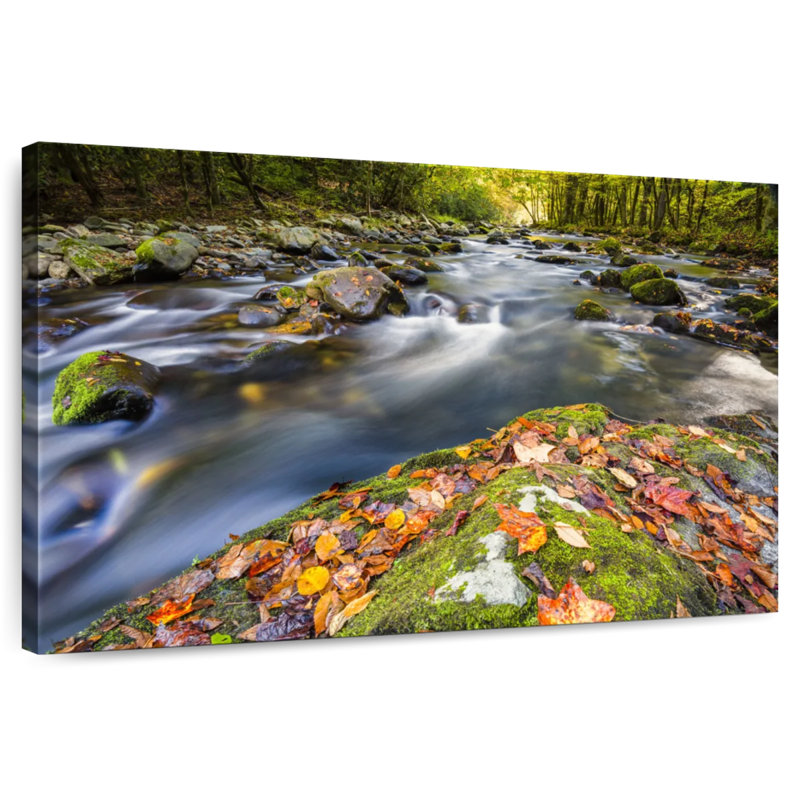 Ruisseau Alvord Smoky Mountains, H 8 po x l 12 po