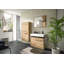 Zeno Particle Board Rectangle Accent Accent Chest