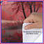 Housses de couette Red Autumn Forest-123420268
