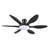 Cliffes 51" Flush Mount Ceiling Fan And Remote Control,Quiet DC Dimmable 6 Blades-114822755
