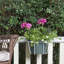 Porte-pot de fleurs-25227511