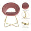 Ensemble de 2 chaises d'appoint en velours moderne avec pieds en métal dorés Modern Velvet