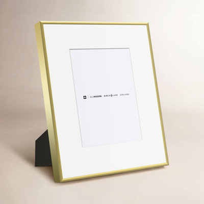 Feronia Metal Picture Frame with Mat
