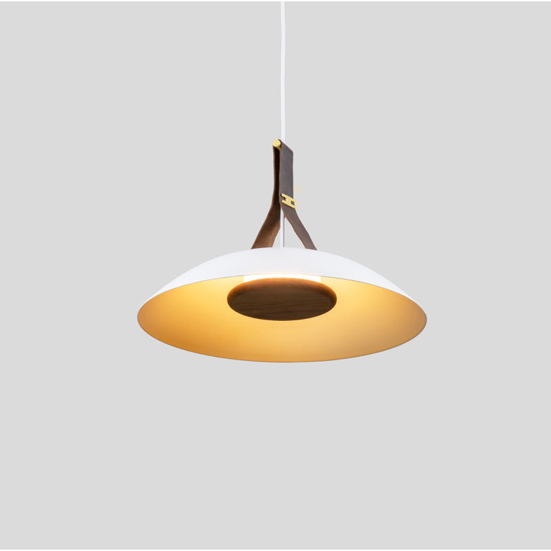 Volo 18" LED Pendant, Brown, Brushed Brass/White, 2700K