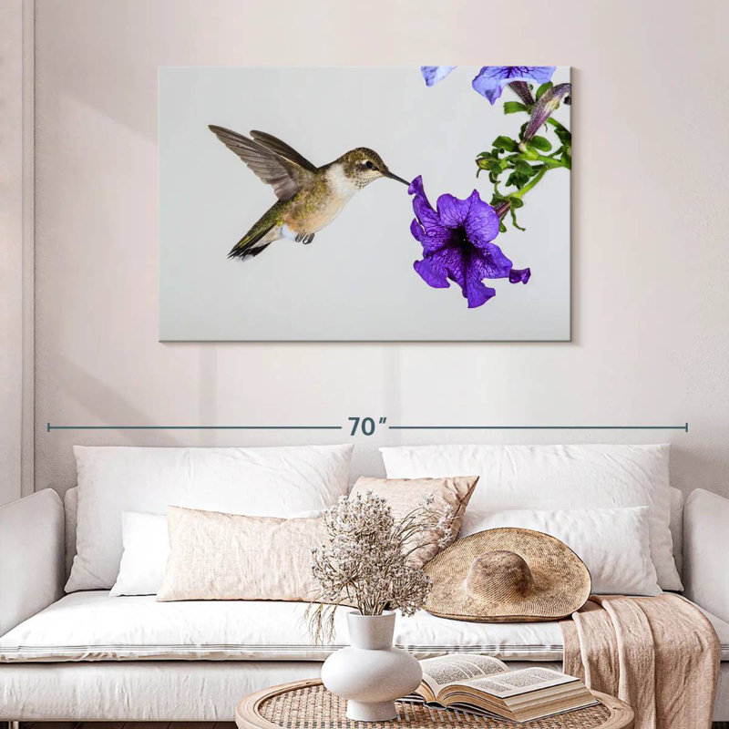 Brampt Purple Flower Hummingbird