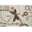 Brookhaven Abstract Area Rug in Ivory