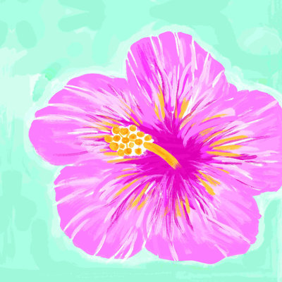 " Hawaiian Hibiscus "