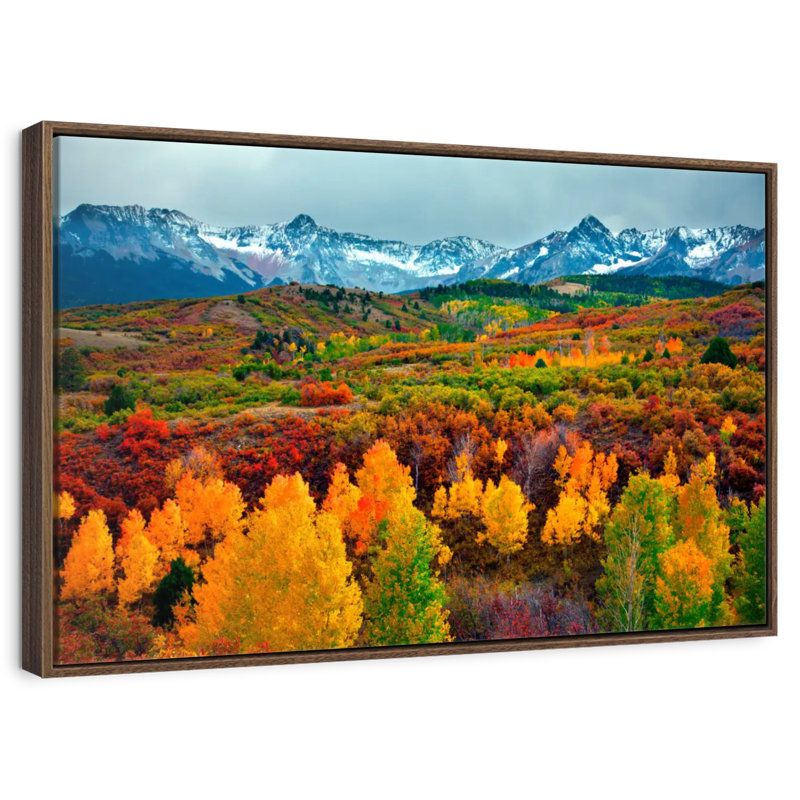 Paysage d'automne au Colorado, Cadre flottant noyer, 31 po x 21 po