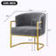 Chaise de lecture rembourrée avec structure en métal doré Modern Accent Chair-130549787